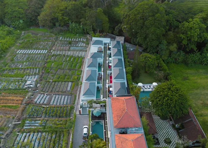 Kubu Bali Seminyak ケロボカン